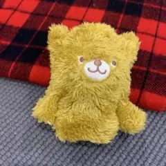 ミニミニ湯たんぽ