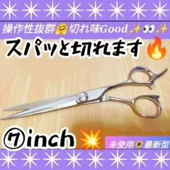 Item thumbnail for item e5ba6686-5f11-410d-a12a-58a5fe1fc90d