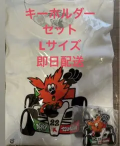 レア 即発送 角田裕毅 YUKI TSUNODA VERDY Sticker Set & key