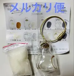 うちの子のけだま カプセルトイ　正規品　シャム