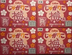 Calbee じゃがりこ 梅味 12カップ 4箱セット