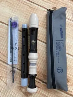 Item thumbnail for item ce5600f1-6b2a-4737-a6e6-66751bcdc24f