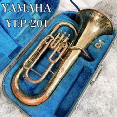 2025年最新】YEP201の人気アイテム - メルカリ