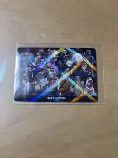 クレイジーラクーン　チップス　シークレット