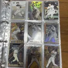 Item thumbnail for item 420f2d83-ff74-407e-a162-b4530c26d052