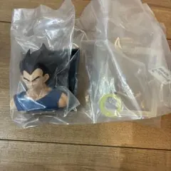 Item thumbnail for item 784778ca-7eb8-418a-b46b-c68d497cf6cd