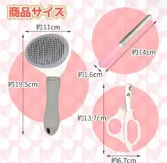 Item thumbnail for item 2b100e4d-885c-4a6f-bd2f-1d2d43ed94b2