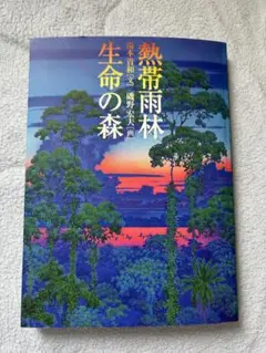 磯野宏夫 大瀑布 ミストグラフ 17/80 磯野宏夫 大瀑布 ミストグラフ 17/80