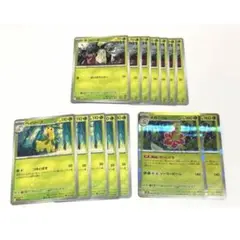 ポケモンカード ポケカ チコリータ ベイリーフ メガニウム 進化ライン