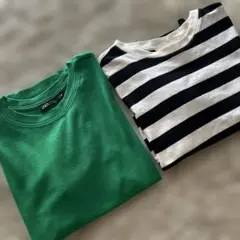 ZARA ティシャツ Mサイズ