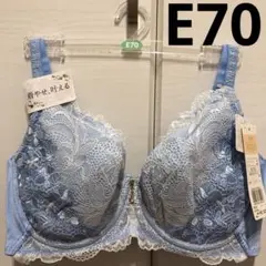 Wing/Wacoal ウイング/ワコール レシアージュ ブラジャー E70
