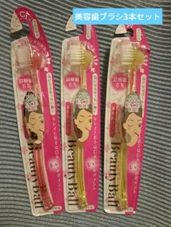 美容歯ブラシ3本セット