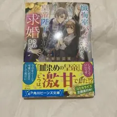懺悔室バイトをしていたら、皇帝陛下に求婚されました