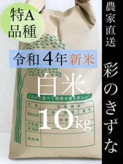 【令和4年 新米】白米 10キロ 彩のきずな 農家直送 精米 お米