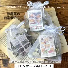 【在庫ラスト商品】BOTANICALサシェ☆コモンセージ＆ローリエ3個セット