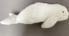 シロイルカ ぬいぐるみ ふわふわ ベルーガ