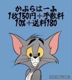 カプラハーフ新品