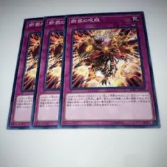 8537 遊戯王 断罪の呪眼 3枚セット