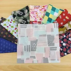 ★A113★ カットクロス/プリント生地/国産/25cm×25cm/10点