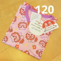 シーサー Tシャツ　トップス　ピンク　てんしんらんまん