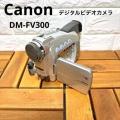 Item thumbnail for item 7a5e8c1e-c32c-4672-8b3c-21e769053e15