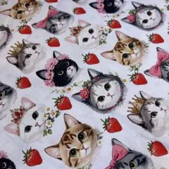 1㍍長大人気猫のプリンセスプリント生地ハギレ布