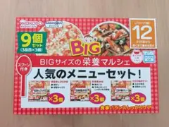 12ヶ月　和光堂　BIG栄養マルシェ9個セット