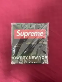 Item thumbnail for item eee205a4-f7d2-4562-8660-db3c70448558