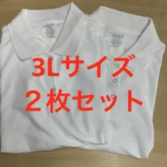 訳あり3Lサイズ速乾素材半袖ポロシャツ白２枚セット
