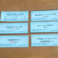 東海汽船 株主優待サービス券