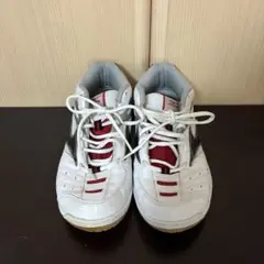 ミズノバドミントンシューズ　25.5センチ