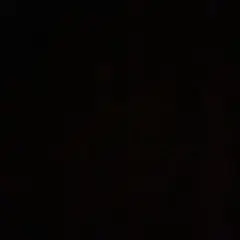 専用