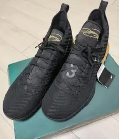 Nike レブロンXVI