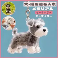 Item thumbnail for item 20b241c6-15d6-4a69-86ac-7560475b6ab4