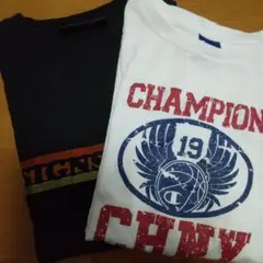メンズTシャツ チャンピオン T&C SURF DESIGNS 2枚セット
