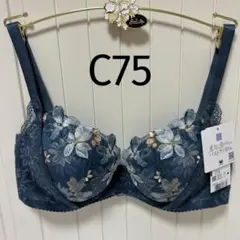 Item thumbnail for item ea5185da-c5cc-4b81-a661-5cb433a2636f