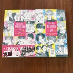 恋の病と野郎組　シーズン2 漫画　上下　2冊セット