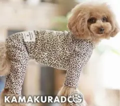 Item thumbnail for item 94302b69-da9c-46bf-996b-a847c8103c16