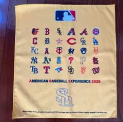 福岡ソフトバンクホークス ラリータオル MLBコラボ 30球団 来場者特典