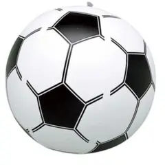 新品 サッカーボール フットサル ビーチボール エアーボール ボール 35cm