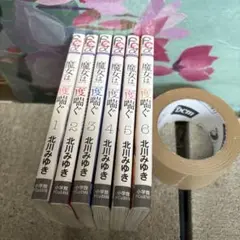 魔女は微笑む 全6巻セット
