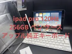 256GB 120hz ipad proアップル純正マジックキーボードケースペン