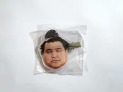 《 高安 》 大相撲ガチャ フェイスヘアピン