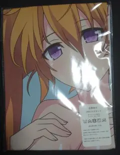 【抱き枕カバー】ハイスクールD×D 紫藤イリナ ⑪-7