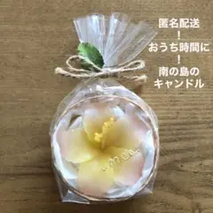 フローティング キャンドル お花 ハイビスカス プルメリア ろうそく カゴ 付き