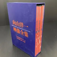 向山洋一　算数DVD 分数 TOSSオリジナル教材 / 向山洋一実践