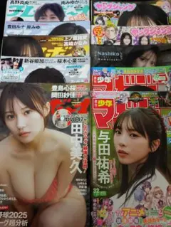 プレイボーイ 2025年 グラビア切り取り 10点 付録DVDなし　商品説明必読