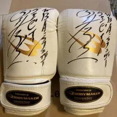 内山高志選手サイン入りグローブ