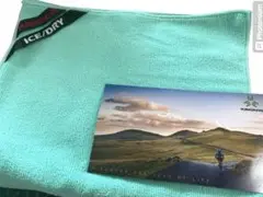 Item thumbnail for item ae60648e-9321-469a-846e-a1ce6989cc47