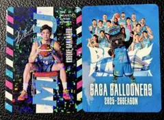 Item thumbnail for item 67fe9cd0-8289-48cb-8484-418ca0397706